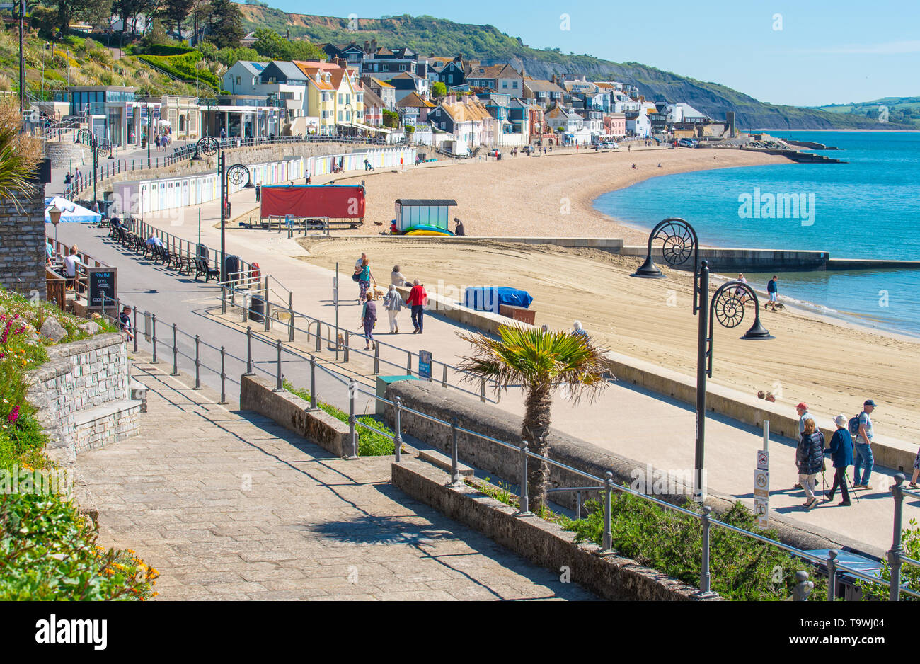 Lyme Regis, Dorset, Regno Unito. 21 maggio 2019. Regno Unito Meteo: una bella mattina di sole caldo e luminoso blu del cielo alla stazione balneare di Lyme Regis. I visitatori potranno gustarsi il glorioso tempo soleggiato che è impostata per continuare per il resto della settimana. Credito: Celia McMahon/Alamy Live News. Foto Stock