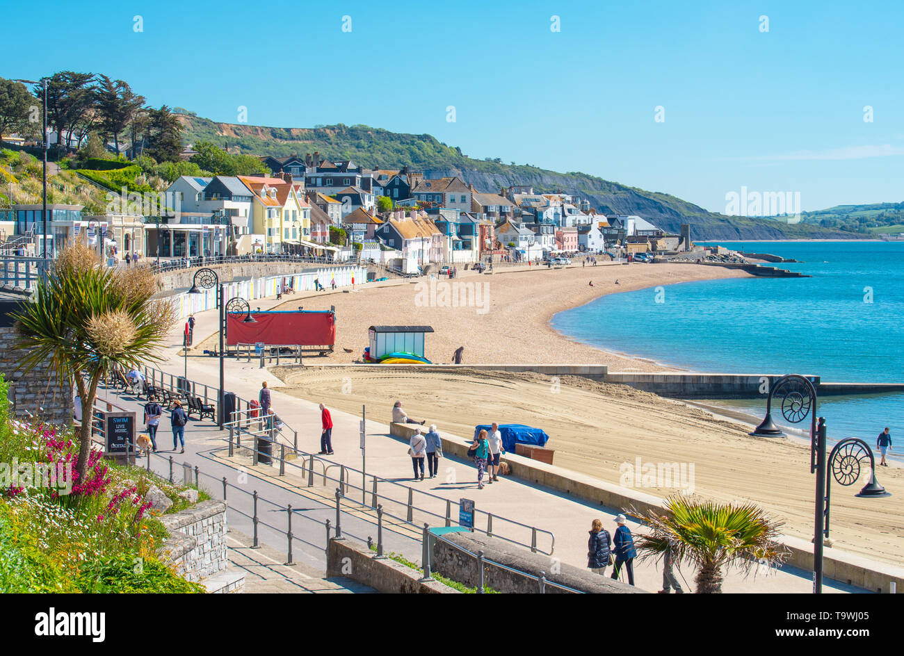Lyme Regis, Dorset, Regno Unito. 21 maggio 2019. Regno Unito Meteo: una bella mattina di sole caldo e luminoso blu del cielo alla stazione balneare di Lyme Regis. I visitatori potranno gustarsi il glorioso tempo soleggiato che è impostata per continuare per il resto della settimana. Credito: Celia McMahon/Alamy Live News. Foto Stock