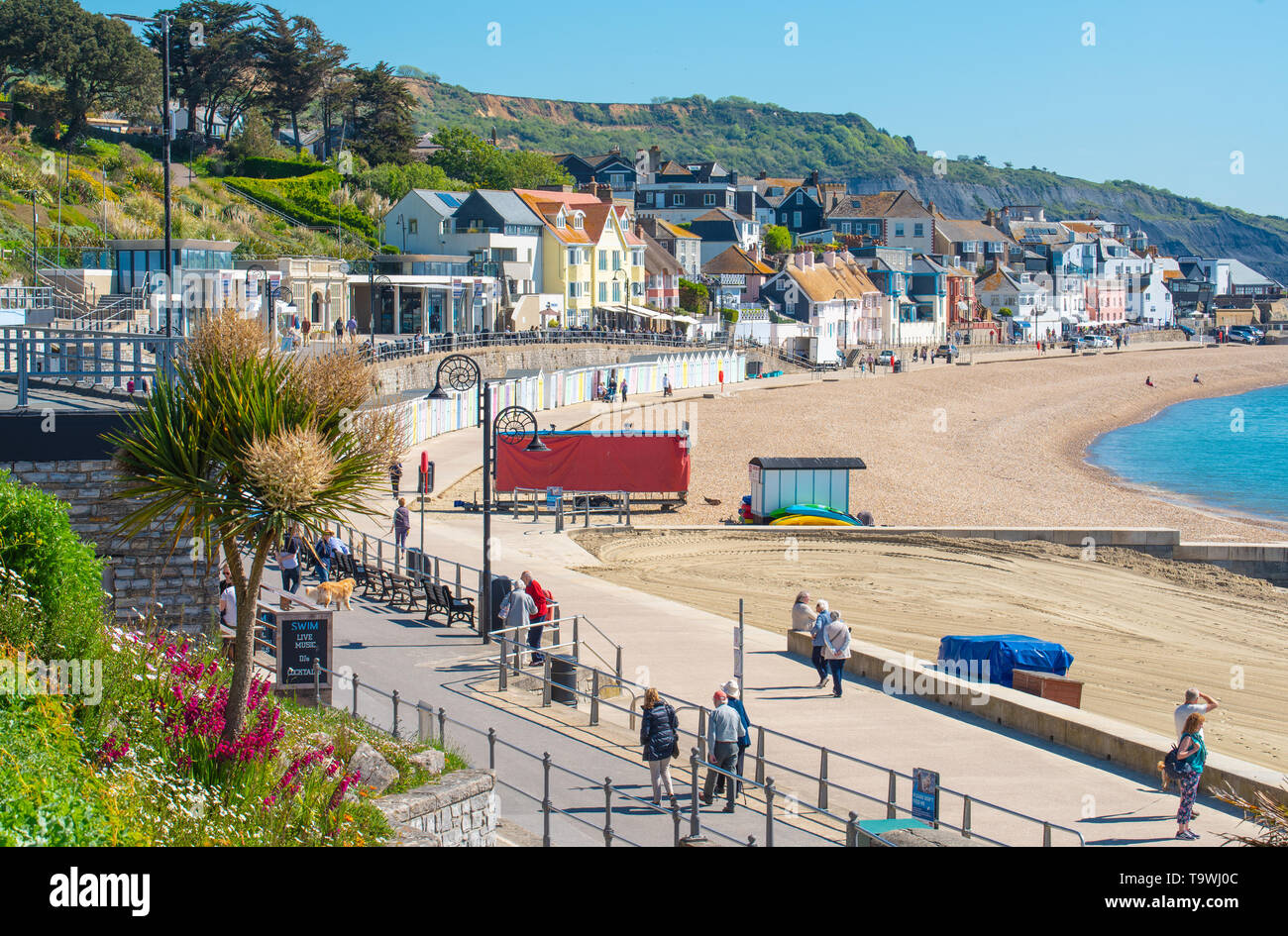 Lyme Regis, Dorset, Regno Unito. 21 maggio 2019. Regno Unito Meteo: una bella mattina di sole caldo e luminoso blu del cielo alla stazione balneare di Lyme Regis. I visitatori potranno gustarsi il glorioso tempo soleggiato che è impostata per continuare per il resto della settimana. Credito: Celia McMahon/Alamy Live News. Foto Stock