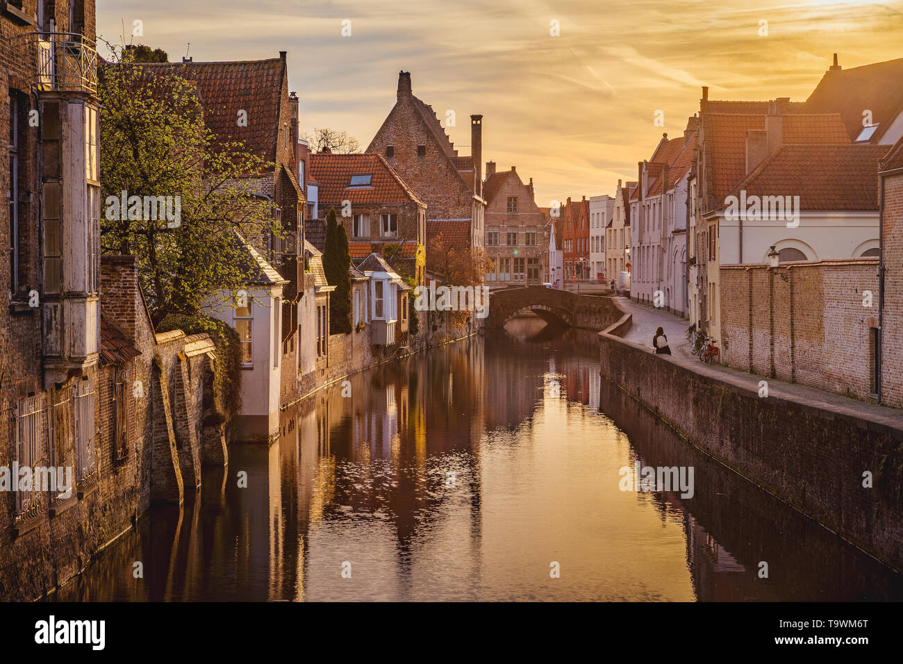 Classic vista da cartolina del centro storico della città di Brugge, a cui spesso viene fatto riferimento come la Venezia del Nord, nella bellissima golden. La luce del mattino al sunris Foto Stock