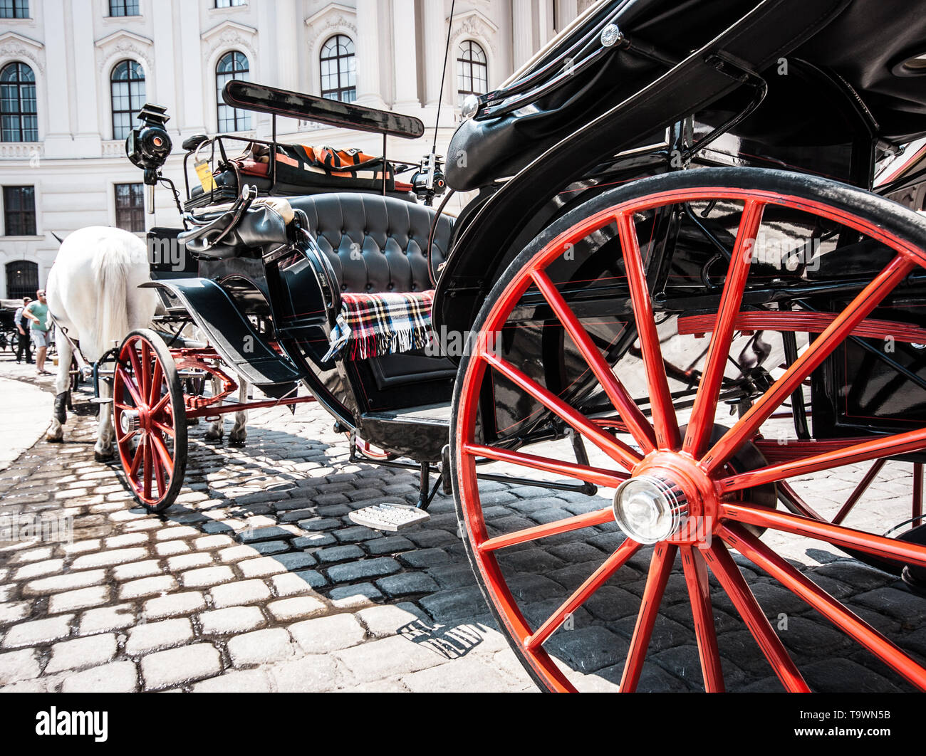 Tradizionale carrozza trainata da cavalli al famoso Palazzo di Hofburg di Vienna in Austria Foto Stock