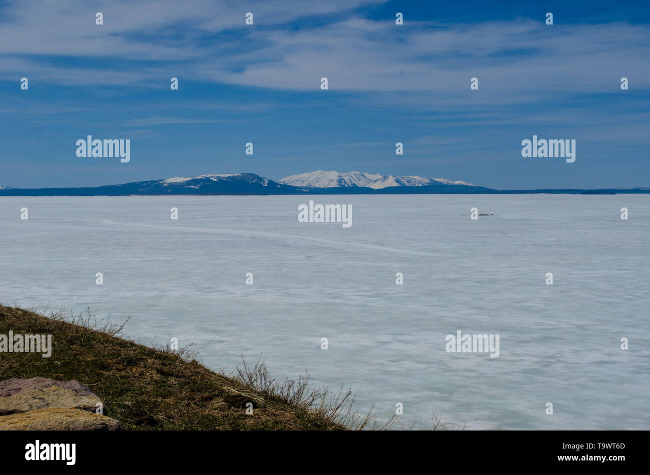 Lago Yellowstone, ancora congelati oltre a fine maggio, Steamboat punto primavera calda Foto Stock