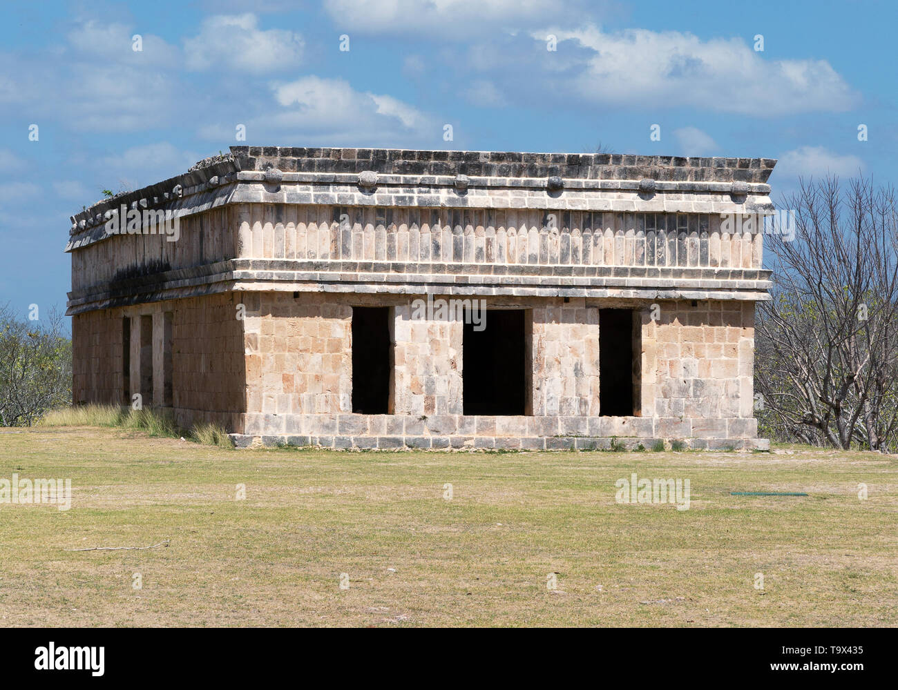 La casa delle tartarughe, le rovine maya di Uxmal consentono di sito patrimonio mondiale dell'UNESCO, Uxmal, Yucatan Messico America Latina Foto Stock