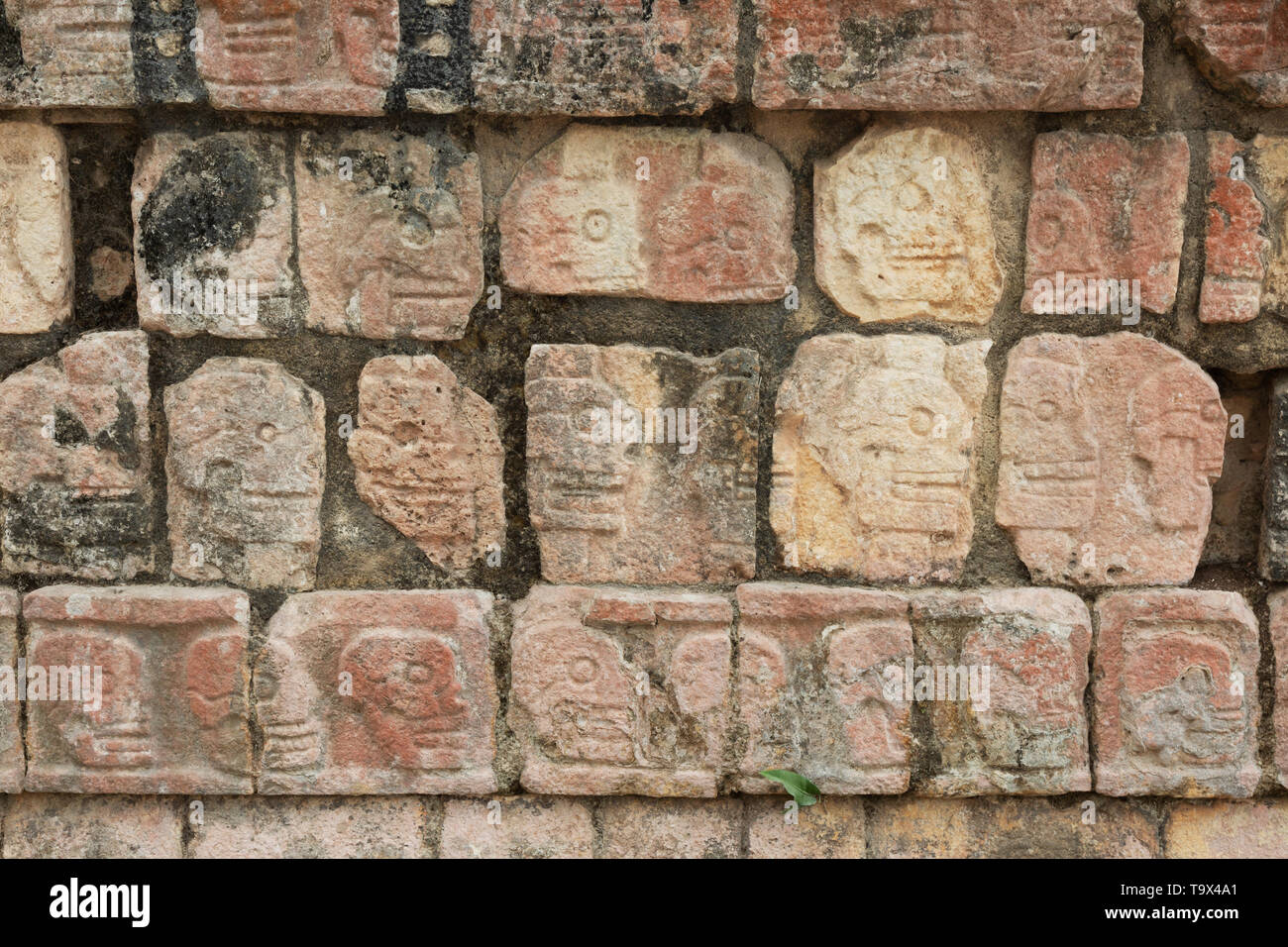 Close up del cranio piattaforma, dove le teste delle vittime Maya, solitamente nemici sconfitti, venivano visualizzati; Chichen Itza, Messico America Latina Foto Stock