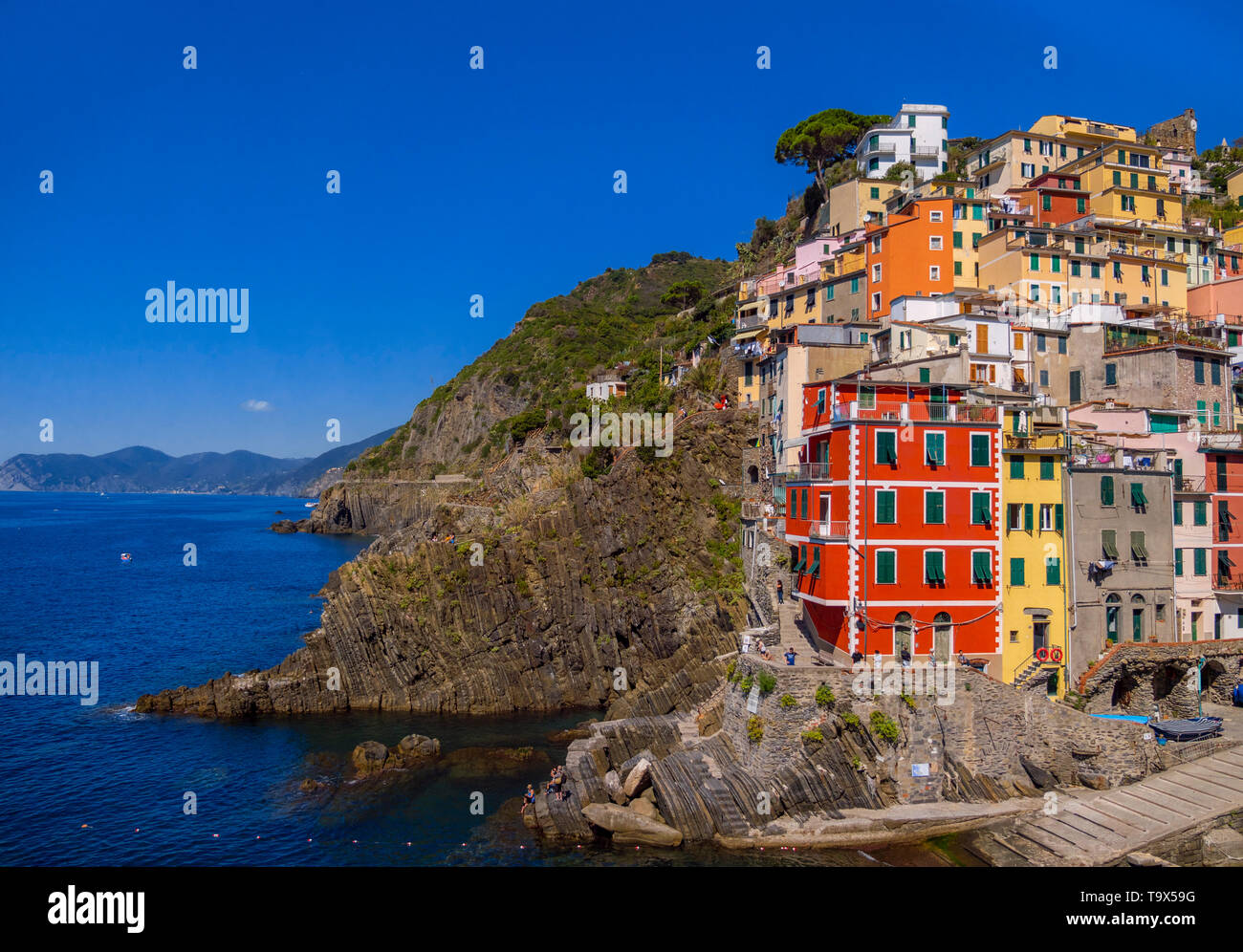 Vista locale con Harbour e case colorate, Riomaggiore Cinque Terre, La Spezia, Liguria, Italia, Europa, Ortsansicht mit Hafen und bunten Häusern, L Foto Stock