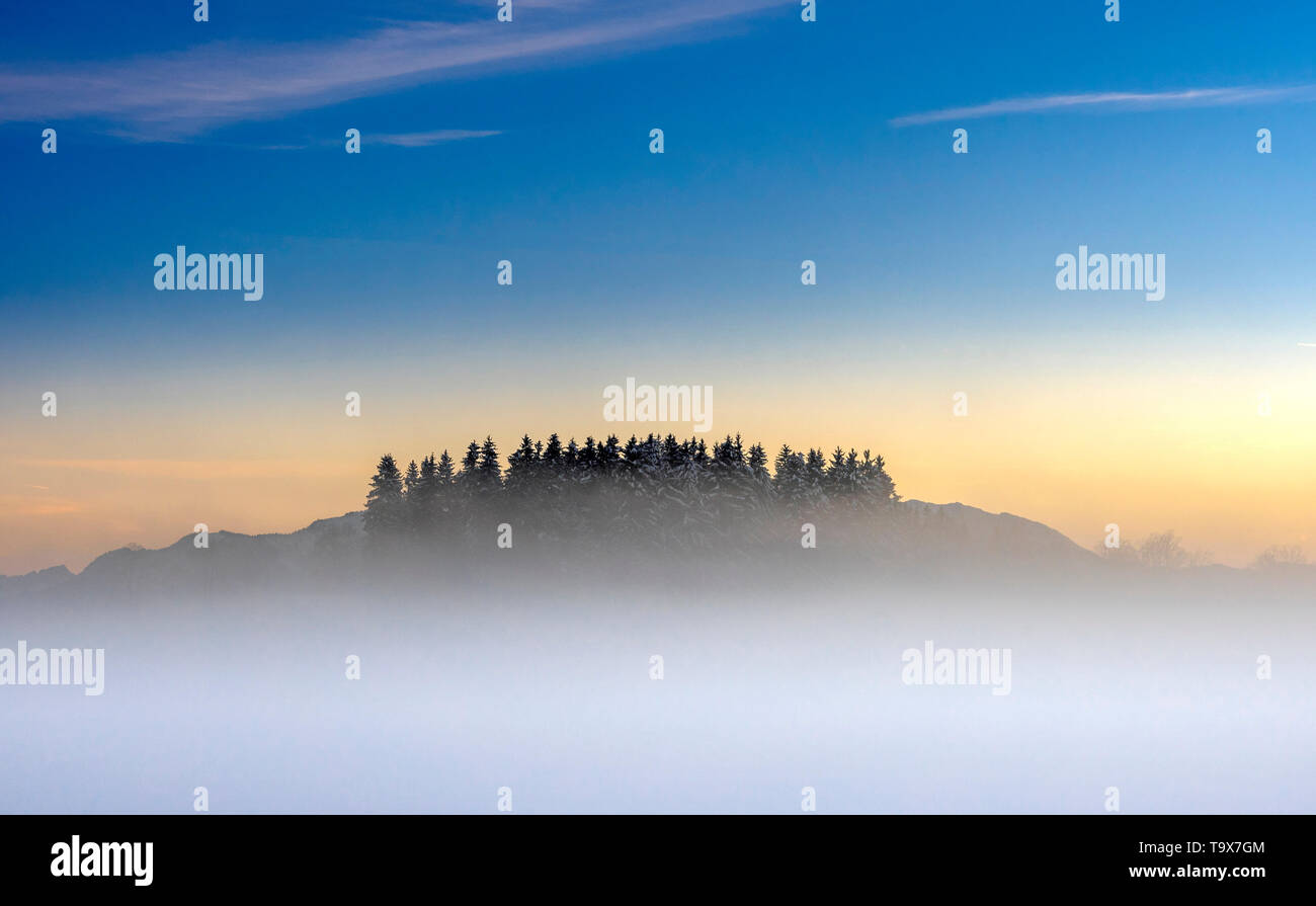 Nebbia sotto forma di patch in serata in un paesaggio invernale, bavaresi, Germania, Europa Nebelschwaden bilden sich am Abend in einer Winterlandschaft, Bayern, Foto Stock