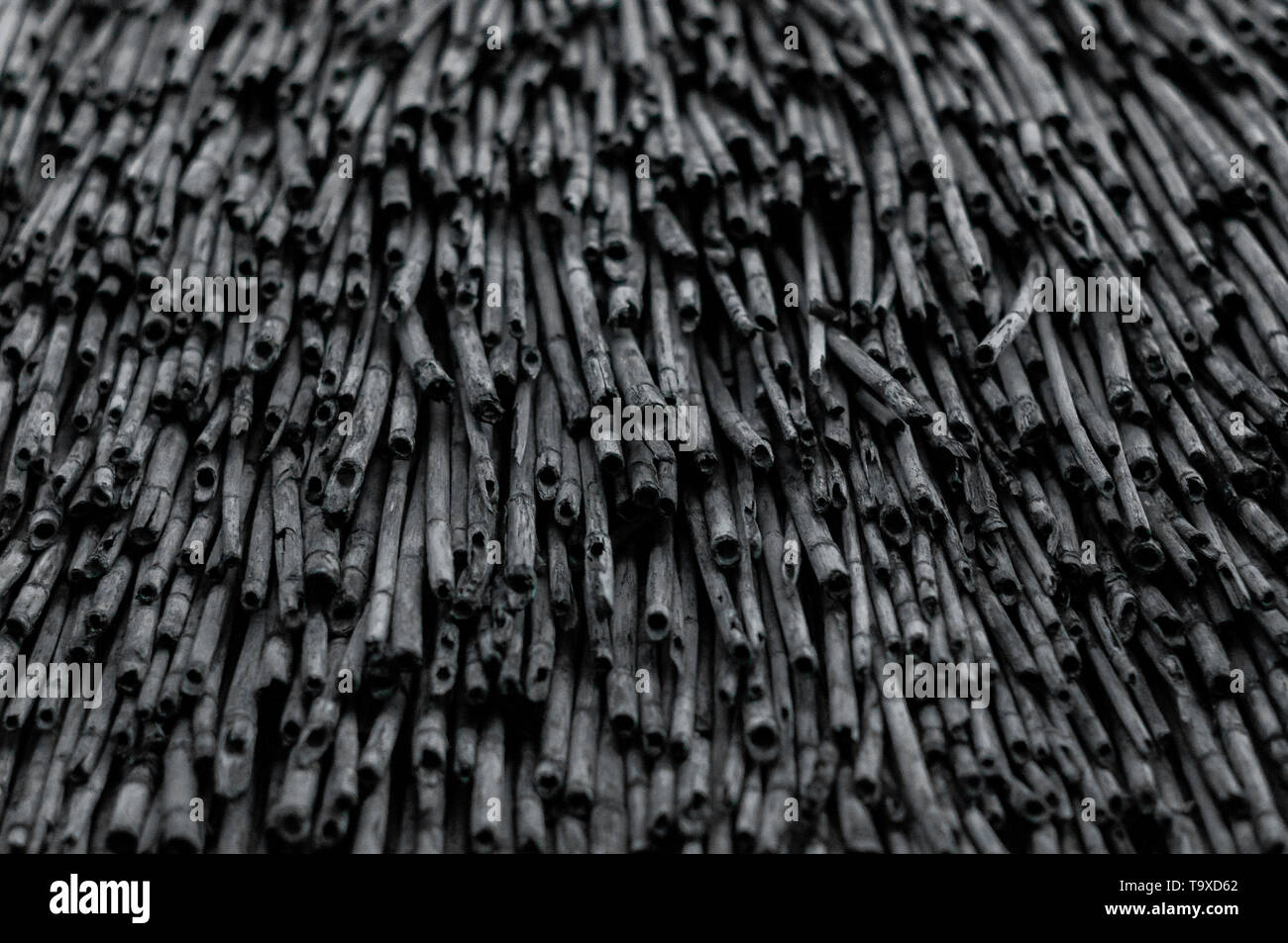 Accuratamente impilati tetto reed. Foto Stock