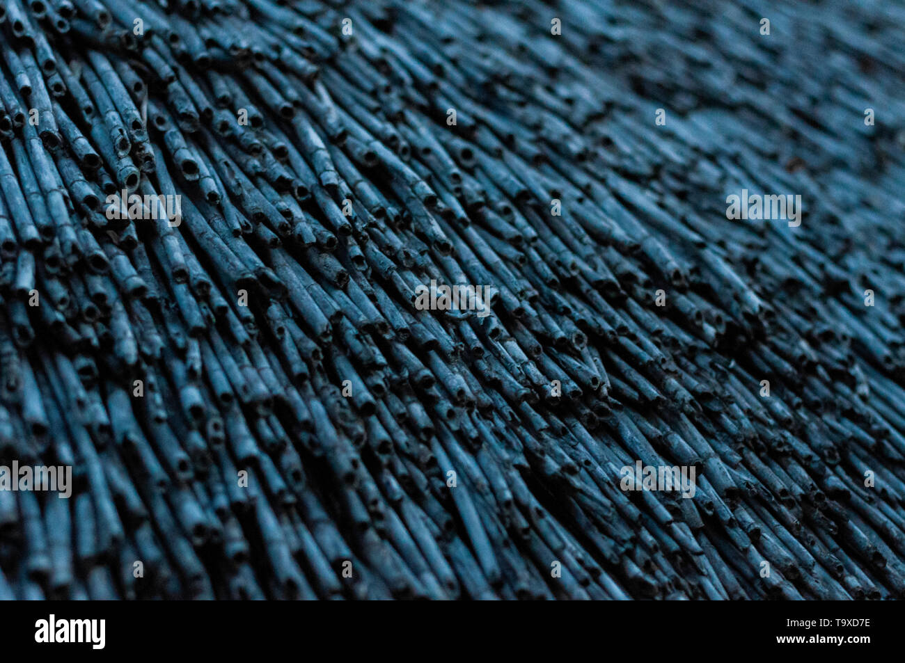 Accuratamente impilati tetto reed. Foto Stock