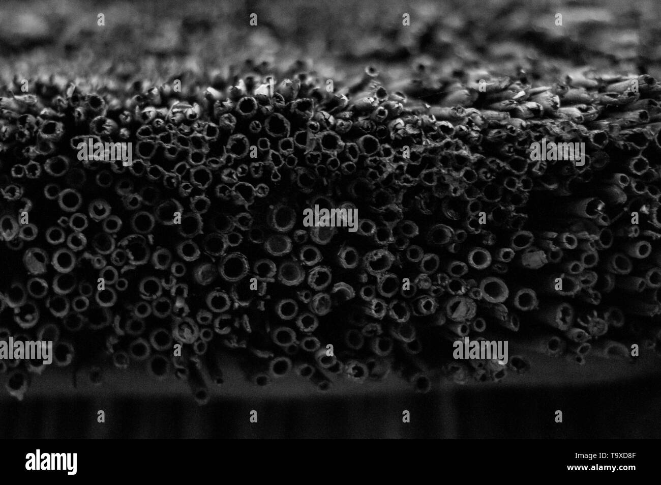 Accuratamente impilati tetto reed. Foto Stock