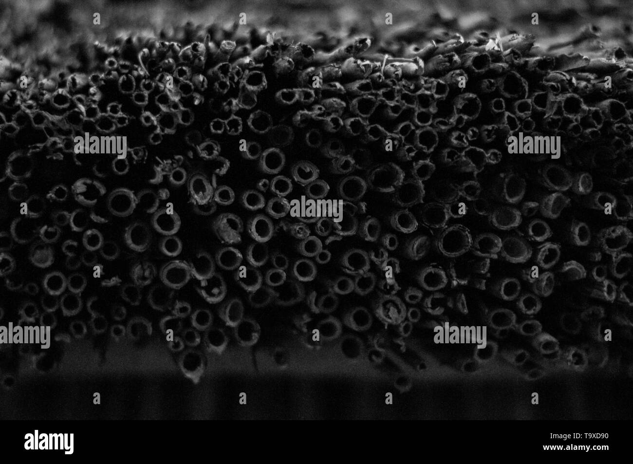 Accuratamente impilati tetto reed. Foto Stock