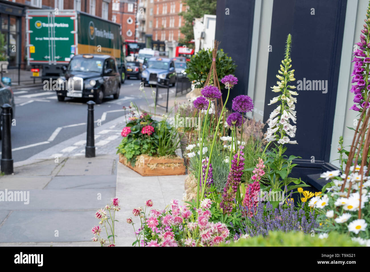 Display floreale al di fuori del negozio Linley a Pimlico Road per il Chelsea in Fiore 2019. Il quartiere di Belgravia a Londra, Inghilterra Foto Stock