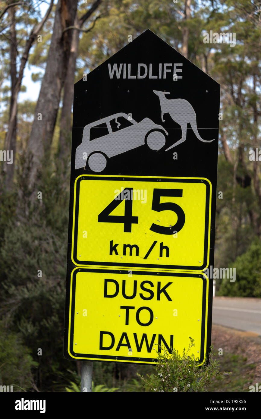 La fauna selvatica pericolo cartello stradale, 45km dal tramonto all'alba Foto Stock