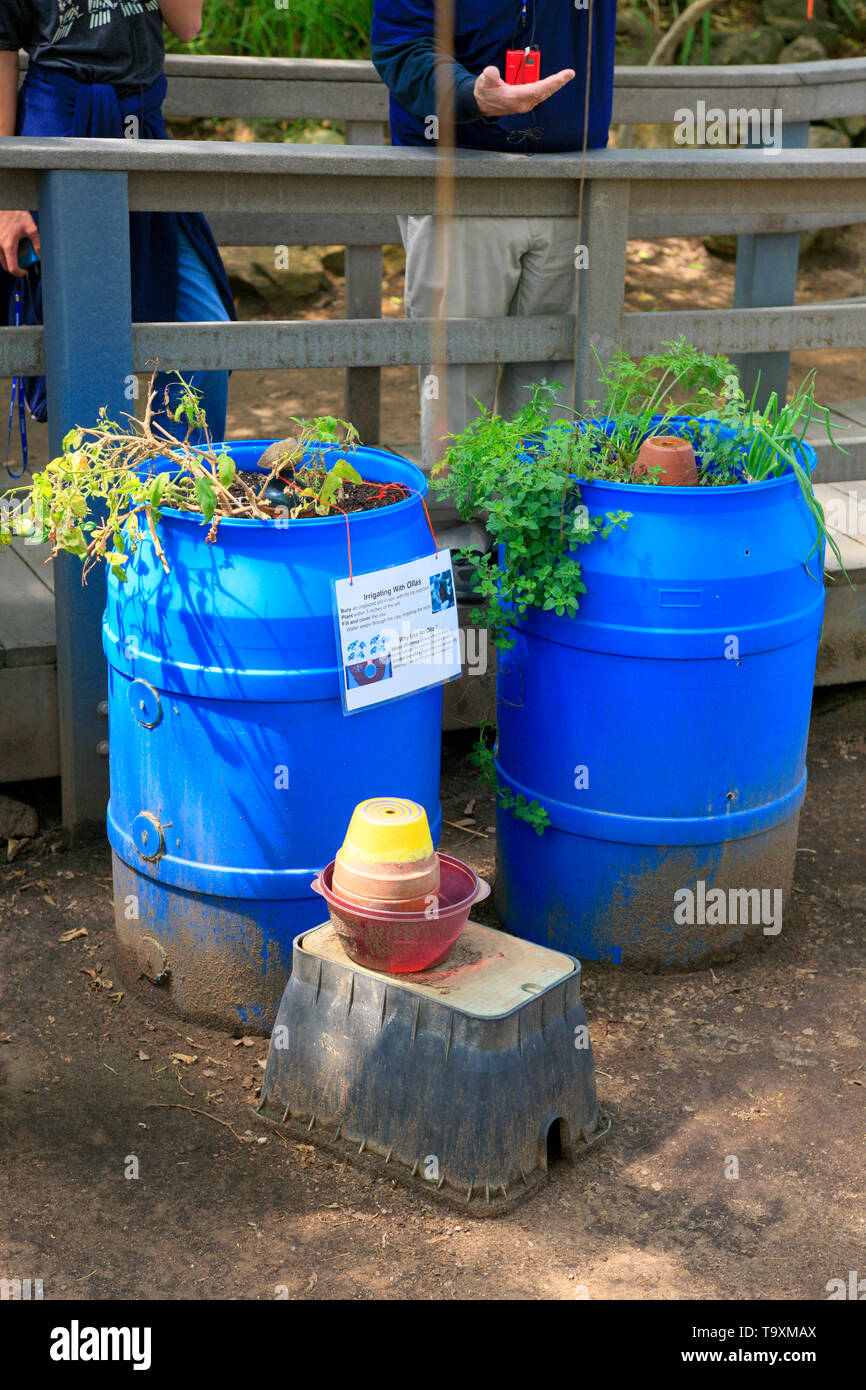 Cilindro in plastica utilizzati come piantatrici crescente fonte di cibo piante utilizzando l antico metodo di pentola di creta l'irrigazione al Bisosphere 2, l'Americano sistema di messa a terra Foto Stock