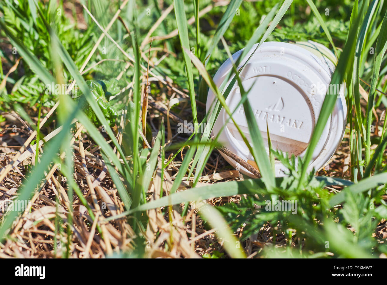 Imballaggi in plastica e bottiglie. Il concetto di protezione della natura da plastica. l'inquinamento ambientale. Foto Stock