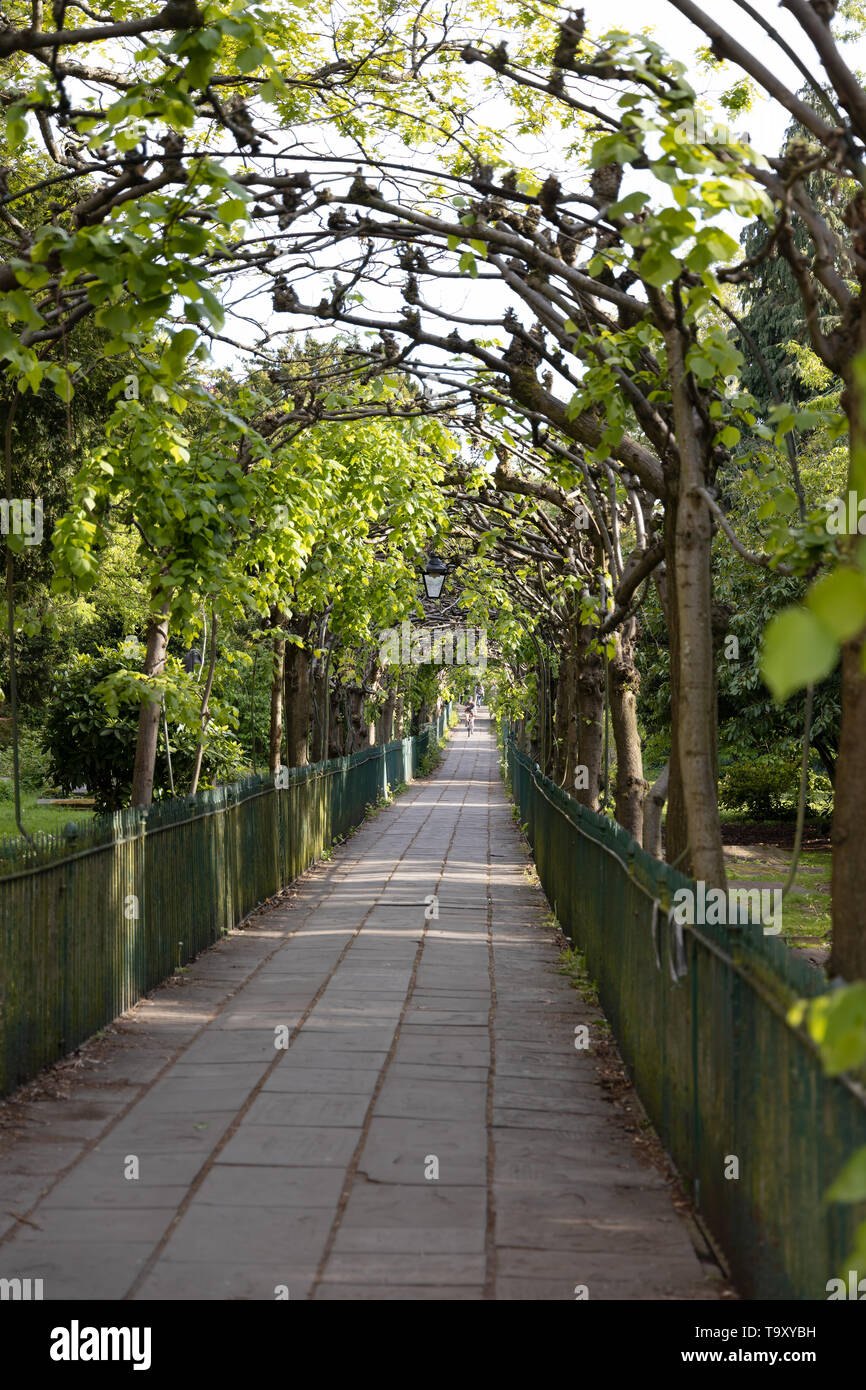 BRISTOL, Regno Unito - 13 maggio : vista lungo il verdeggiante arch a Birdcage a piedi a Bristol il 13 maggio 2019. Una persona non identificata Foto Stock