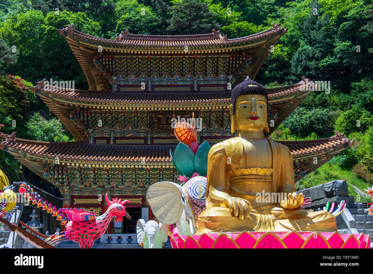 Grande Maestro Daejosajeon Hall del coreano tempio Buddista Guinsa con molte figure per celebrare il compleanno di Buddha. Guinsa, Danyan, Corea del Sud. Asia Foto Stock