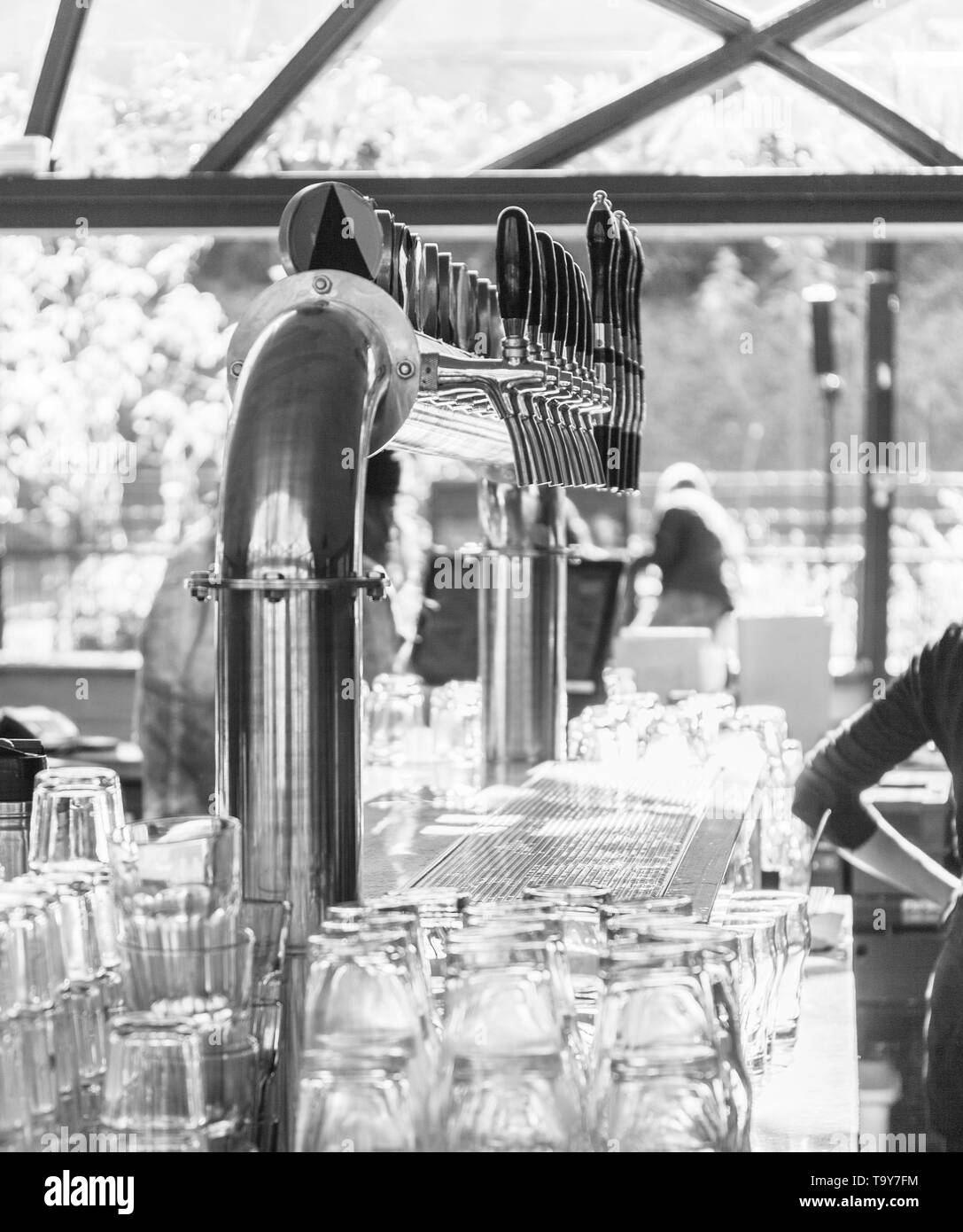 Bancone bar birra alla spina durante le ore di lavoro. close up. BW Foto Stock