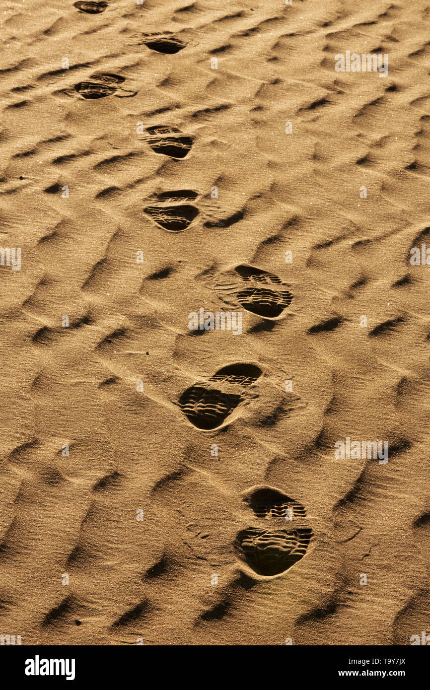 Stivali calpestabile lasciano segni di punteruolo secca di sabbia, South Australia orientale. Foto Stock