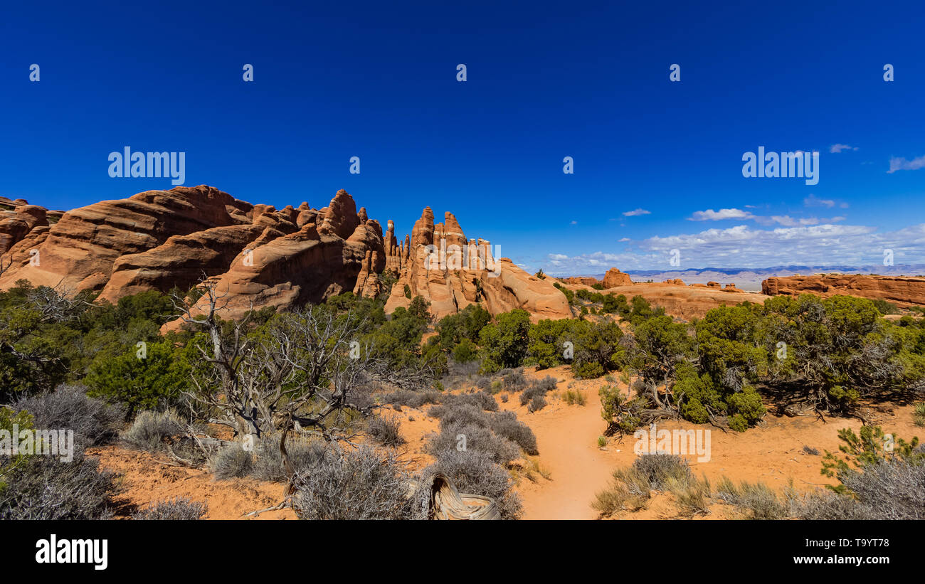 torri di pietra scolpite dall'acqua e dal vento in archi parco nazionale Foto Stock