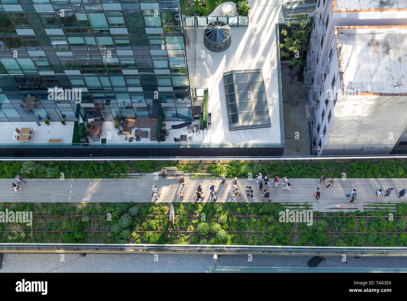 La linea alta, parco urbano ristrutturato da un elevata abbandonata della ferrovia a Chelsea, Manhattan New York City, NY / USA Foto Stock