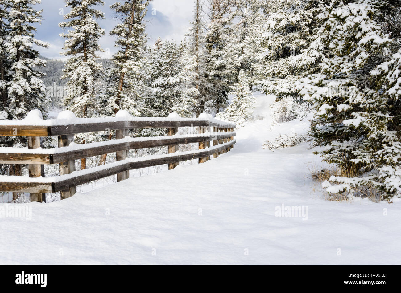 Neve percorso coperto foderato con una staccionata di legno su una soleggiata giornata invernale Foto Stock