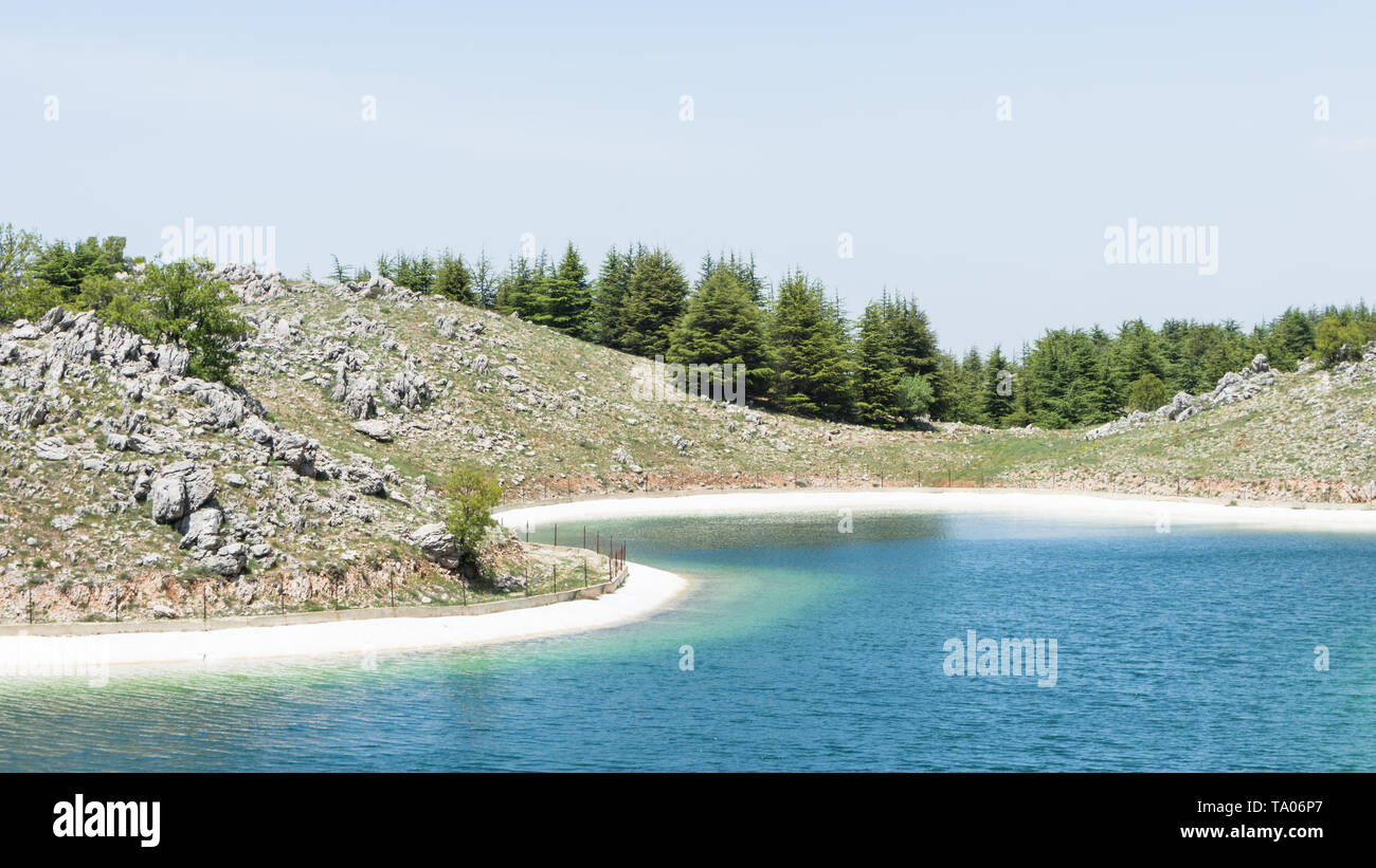 Lago artificiale in Shouf riserva della biosfera foresta di cedro, Barouk, Libano Foto Stock