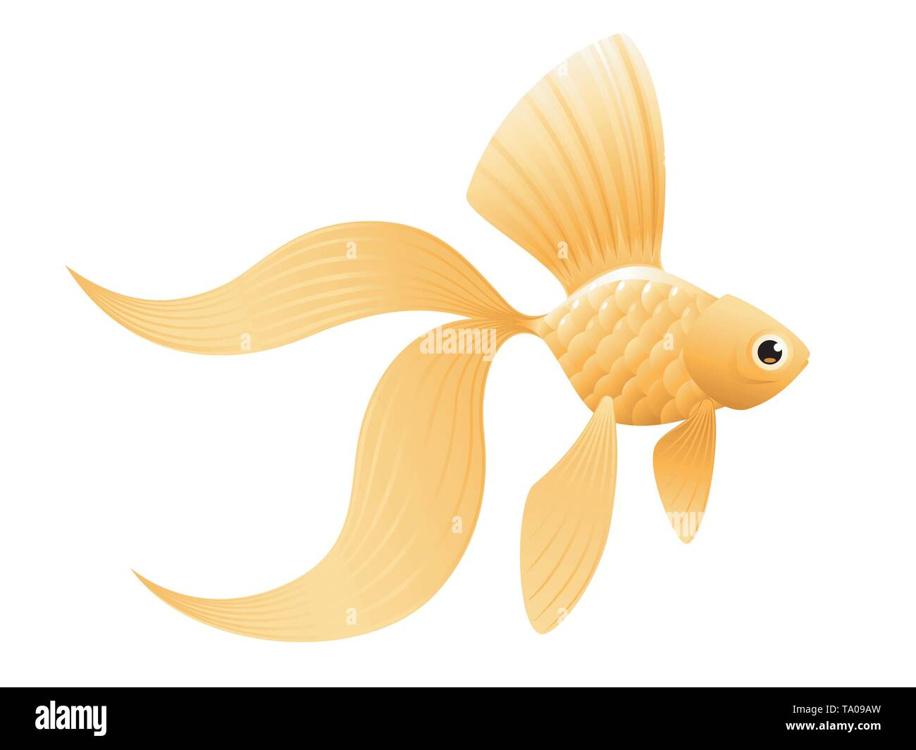 Pesce rosso Illustrazione Vettoriale