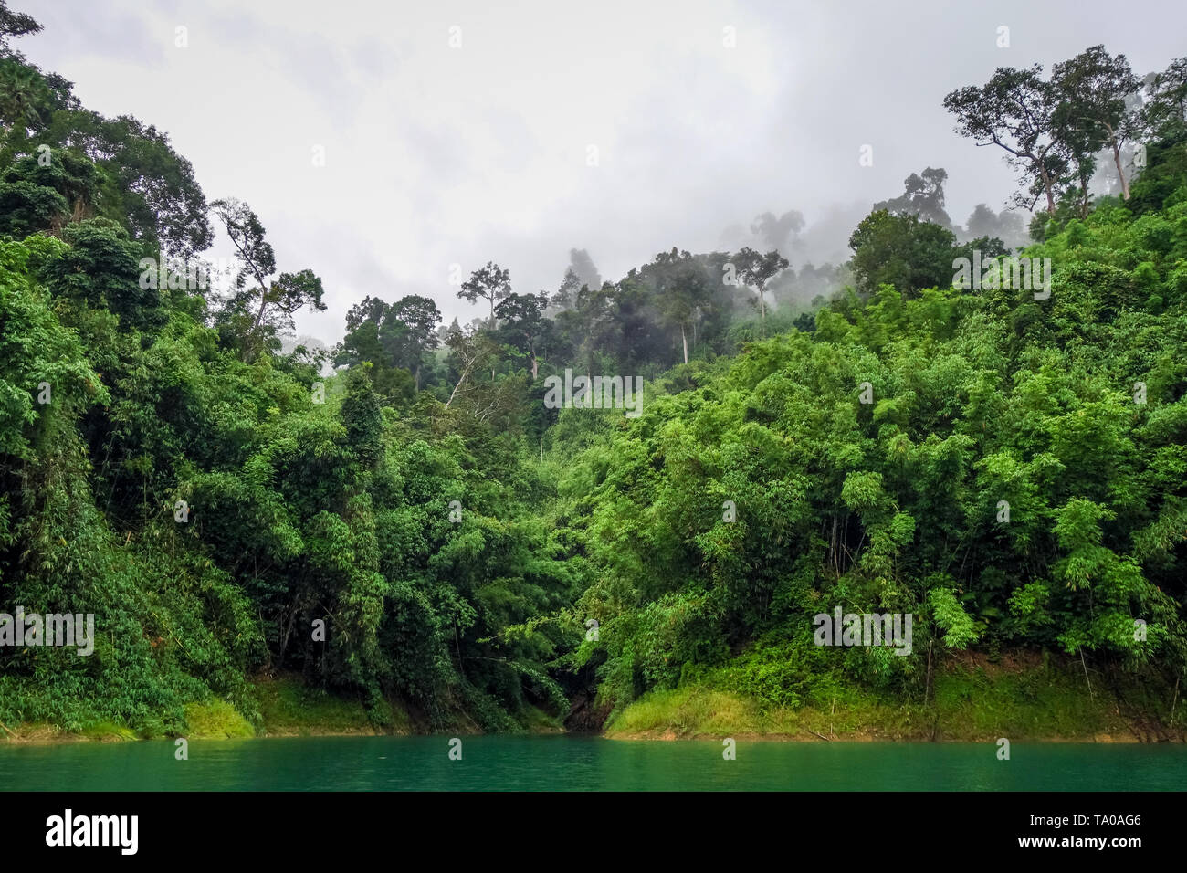 Foschia mattutina sulla Lan Cheow Lago in Khao Sok National Park, Thailandia Foto Stock
