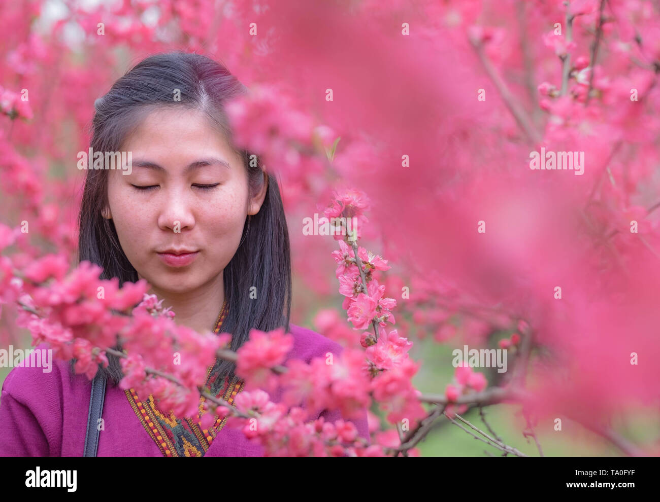 WUHAN-HUBEI/Cina, MAR 29-2019: Wuhan Botanic Garden. Vaga fanciulla è di chiudere gli occhi alla prugna Fiore fiore nella parte del giardino. It' Foto Stock