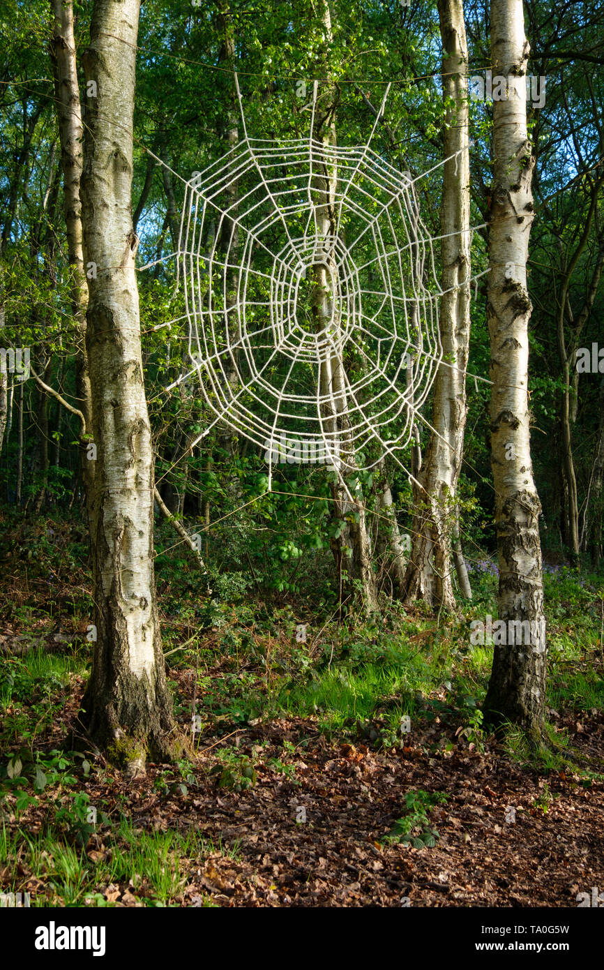 Artwork spider web nel bosco. Foto Stock