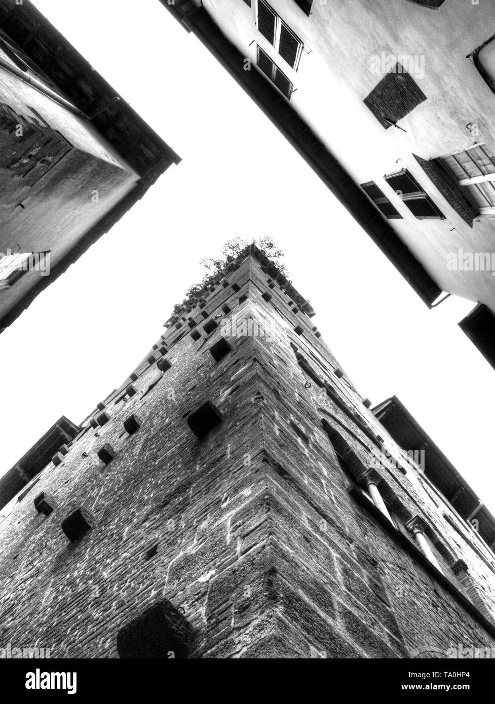 Estate felicità in Toscana, Italia Foto Stock