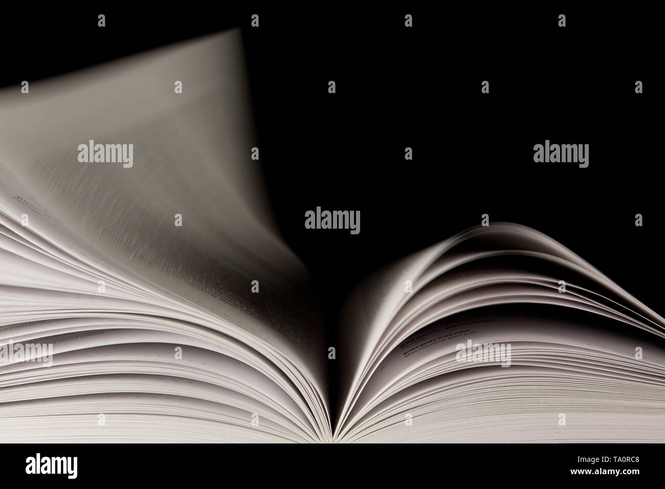Un vero page turner! Libro fotografato come le pagine giro veloce. Foto Stock