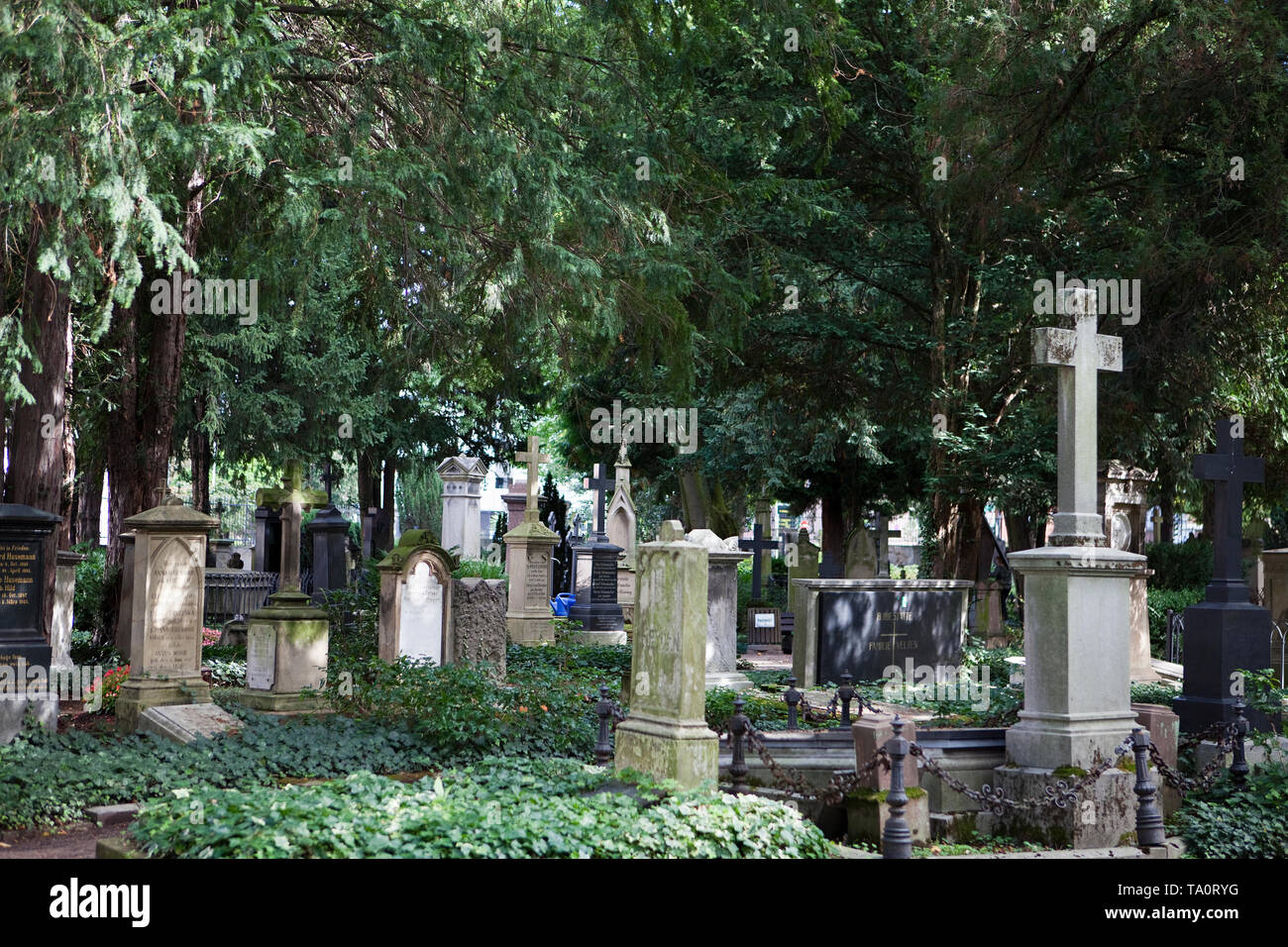 Alter Friedhof cimitero, Bonn, Renania settentrionale-Vestfalia, Germania, Europa Foto Stock