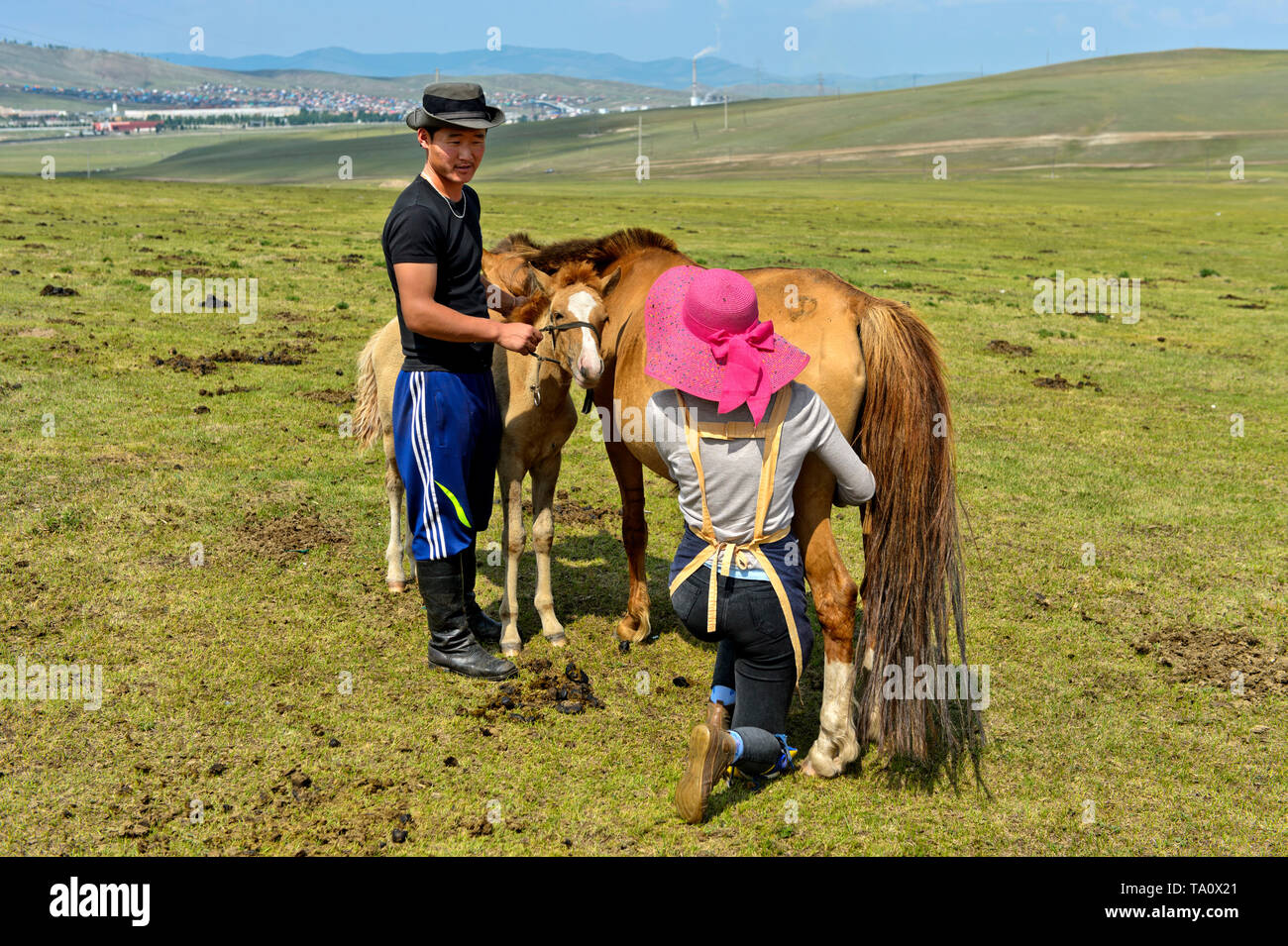 Mongolia: giovane uomo mongolo con un puledro di calma il mare è munto Foto Stock