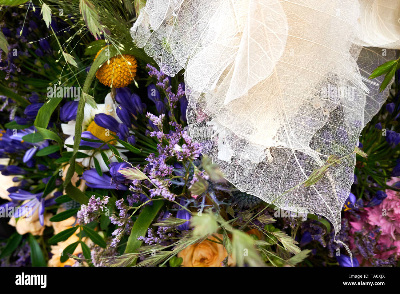 Bella e delicata disposizione di fiori e foglie compresi i morti scheletro di vene in foglia Foto Stock