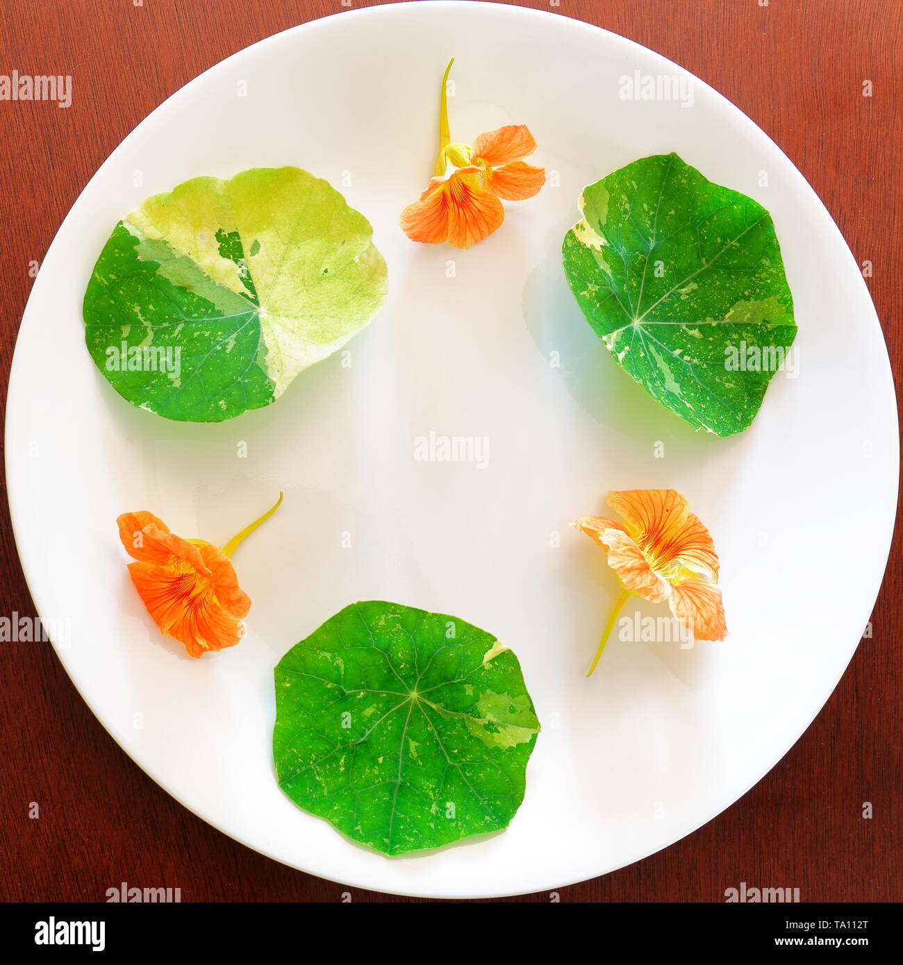 Trio di nasturtium fiori e foglie disposti in cerchio attorno ad una piastra su una superficie in legno Foto Stock