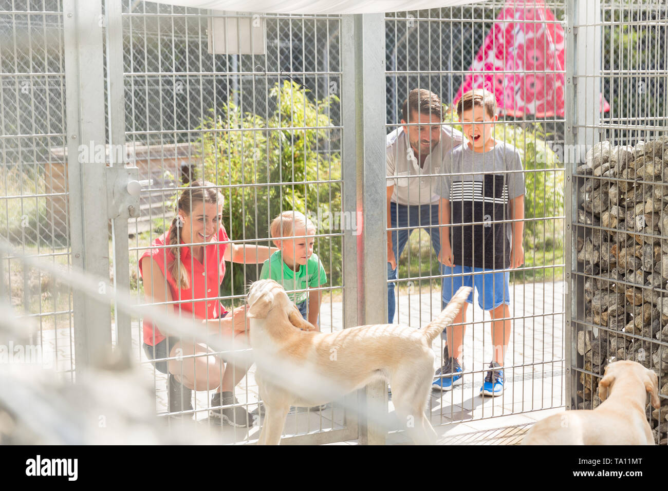 Famiglia di conoscere i cani in animal shelter Foto Stock