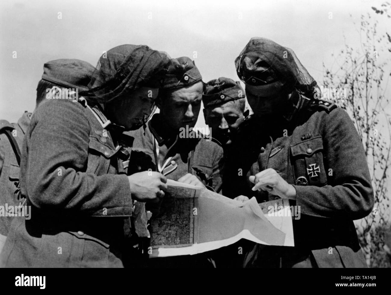 I soldati lo studio di una mappa di fronte a shock società di truppe nella palude boschi a sud-est del lago Ilmen vicino Kochkovo. Un corrispondente di guerra di propaganda azienda è anche incaricato. Foto: corrispondente di guerra Etzold Foto Stock
