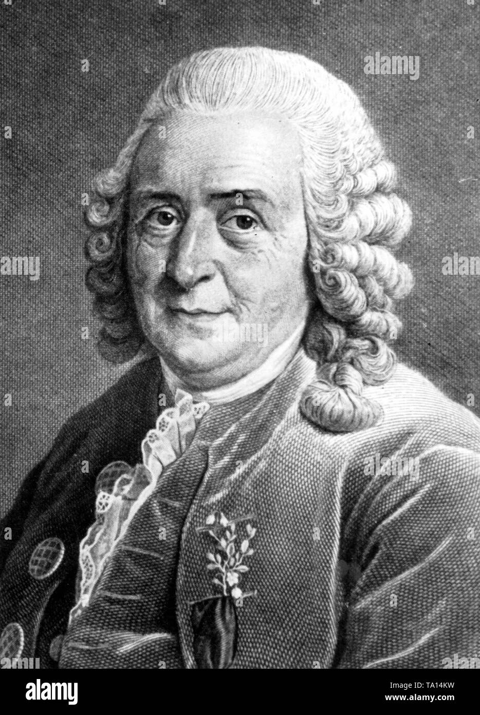 Carl von Linne (dal 1762), precedentemente Carolus Linnaeus. Nella sua opera "ystema naturae" pubblicato nel 1735 ha introdotto la moderna classificazione biologica. Nel XII edizione del suo libro "ystema naturae" (1766) Linne classificati gli esseri umani per la prima volta come 'homo sapiens' nell'ordine "primati", insieme con gli scimpanzé e orangutan. Foto Stock