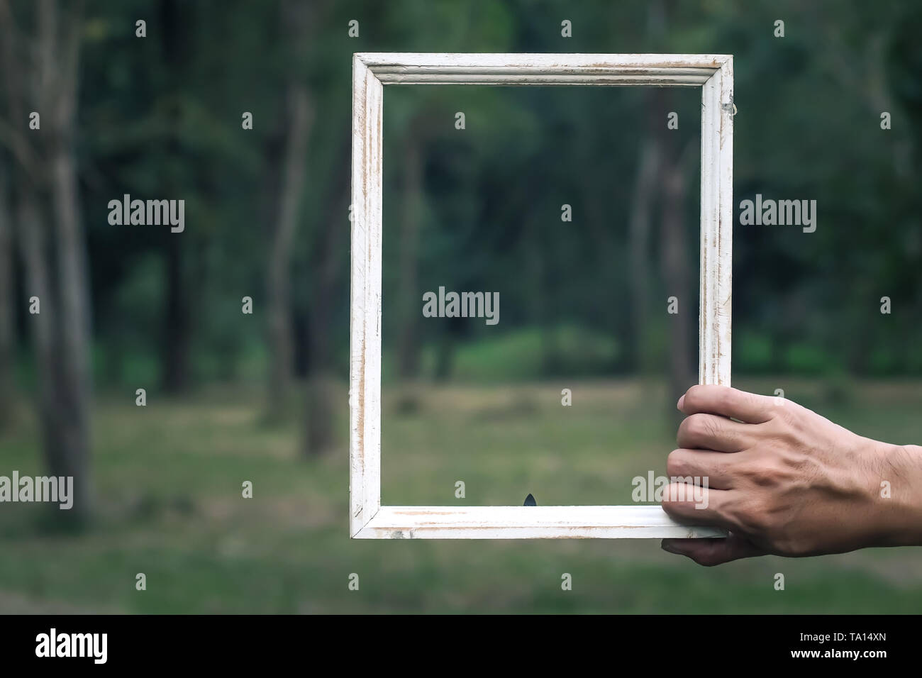 Man tenere shabby chic stile vintage bianco telaio in legno verde di sfocatura concetto natura idea sfondo Foto Stock
