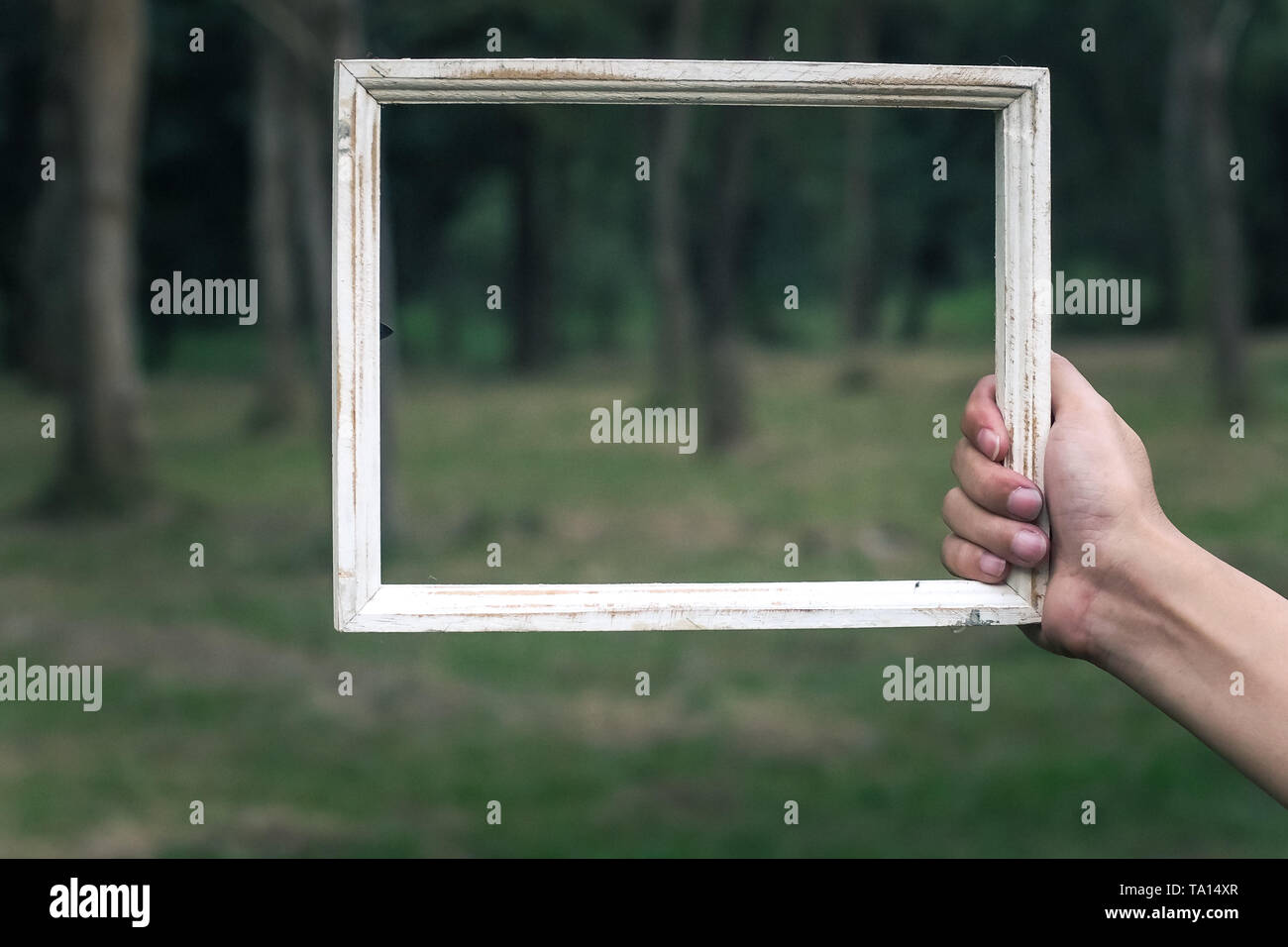 Man tenere shabby chic stile vintage bianco telaio in legno verde di sfocatura concetto natura idea sfondo Foto Stock