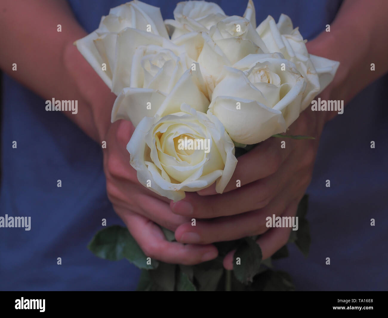 Uomo con bianco bouquet di rose fiore bellissimo per ama lo sfondo Foto Stock