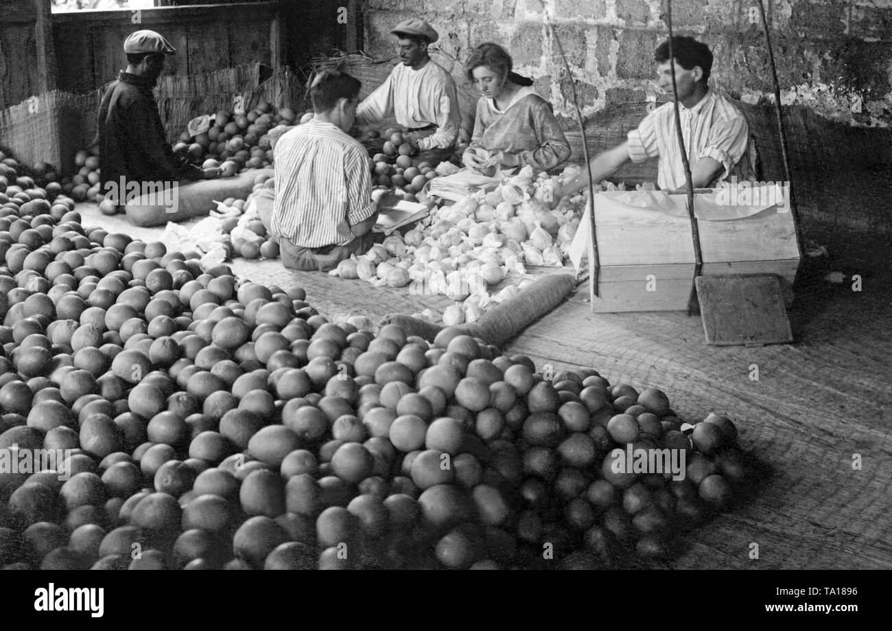 Lavoratori ebraica sono le arance di imballaggio per l'esportazione in un insediamento in Palestina. Foto Stock