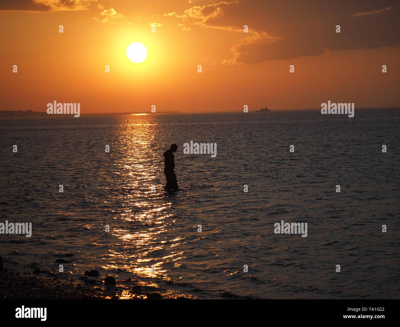 Sheerness, Kent, Regno Unito. 21 Maggio, 2019. Regno Unito: Meteo una esca digger al tramonto in Sheerness nel Kent. Credito: James Bell/Alamy Live News Foto Stock