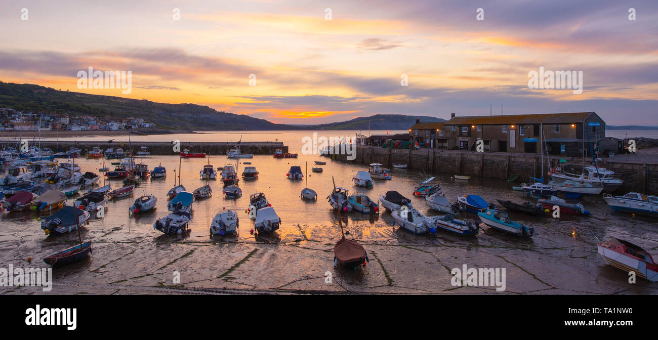 Lyme Regis, Dorset, Regno Unito. 22 maggio 2019. Regno Unito Meteo: Moody sunrise di colori a bassa marea a Cobb a Lyme Regis. Credito: Celia McMahon/Alamy Live News. Foto Stock