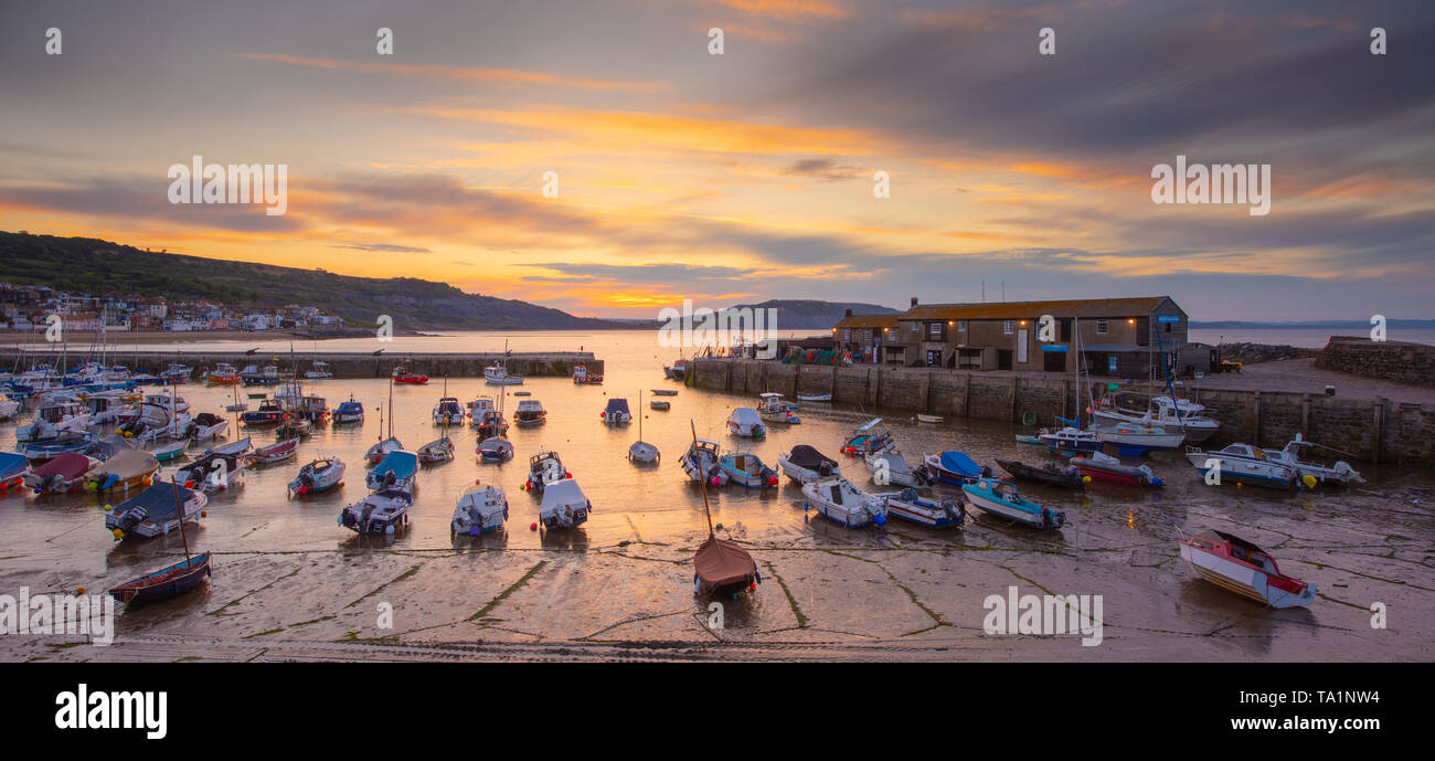 Lyme Regis, Dorset, Regno Unito. 22 maggio 2019. Regno Unito Meteo: Moody sunrise di colori a bassa marea a Cobb a Lyme Regis. Credito: Celia McMahon/Alamy Live News. Foto Stock
