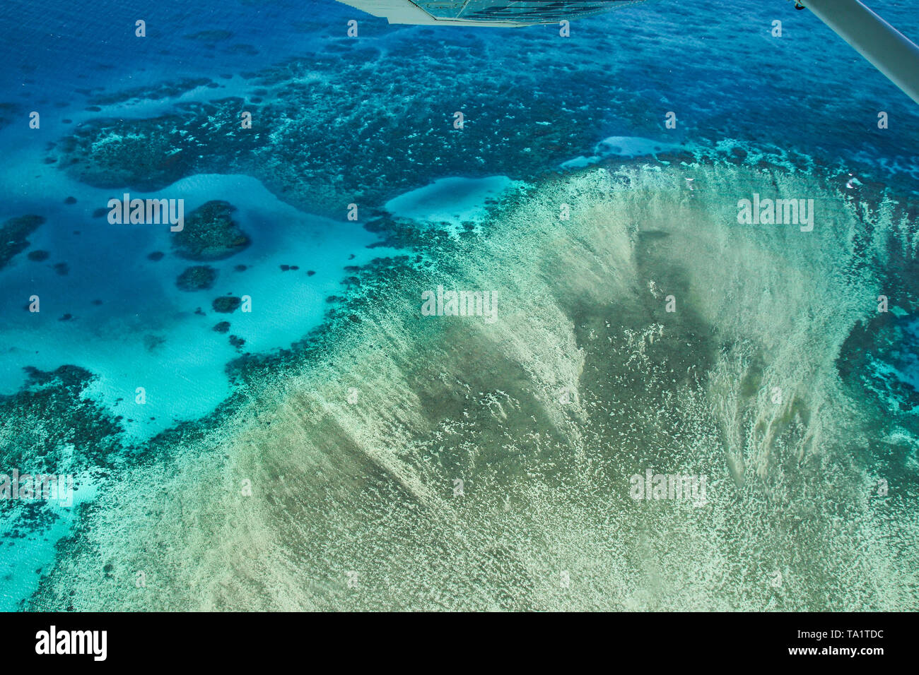 Vista sulla Grande Barriera Corallina, barriere coralline e acque cristalline in Australia Foto Stock