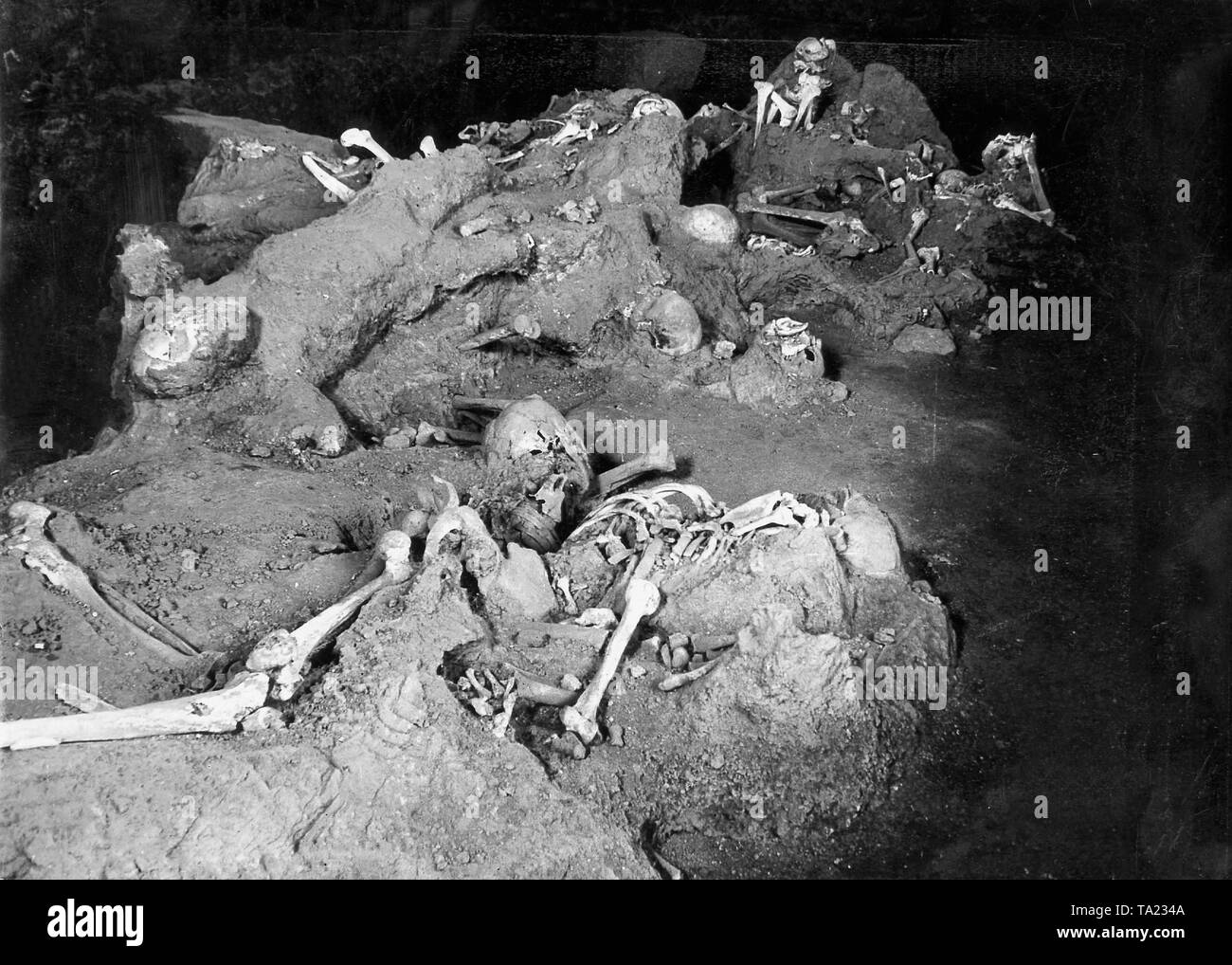 Pompei fu distrutta e sepolta sotto le ceneri e pomice in eruzione del Vesuvio nel 79 d.c. La maggior parte dei circa 10.000 abitanti è morto. Molte delle vittime erano conservati dalle ceneri vulcaniche, come essi sono stati sorpresi dalla catastrofe sull'esecuzione. La foto è stata scattata durante gli scavi dell'anello e la Scuola di scherma Foto Stock