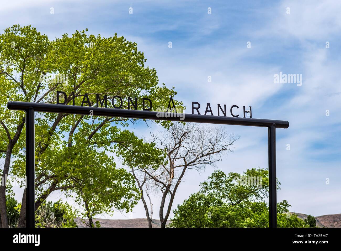 Nuovo Messico ranch, il Diamante un ranch in Lincoln County e Chaves County, Nuovo Messico, Stati Uniti d'America. Foto Stock