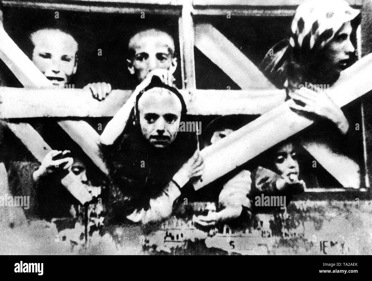 Bambini ebrei, che sono stati separati dopo la repressione della rivolta del ghetto di Varsavia dai loro genitori sono stati deportati in bestiame vetture ad Auschwitz, Treblinka o Sobibor. Foto Stock